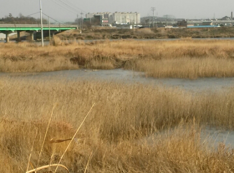 <b>평택</b>.     <b>관리천</b>