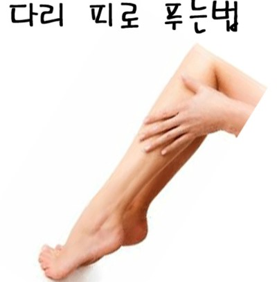  피로한 다리 푸는 방법