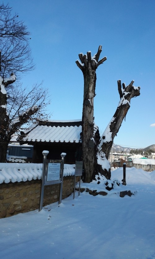  잘못된 역학 상담.
