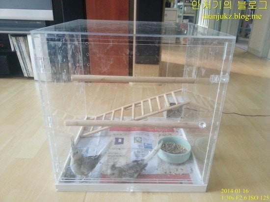 아크릴 새장 만들기