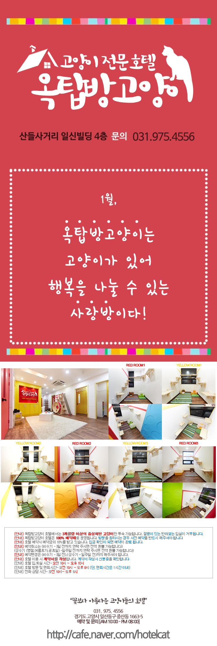  경기도 일산 새로생긴 고양이 전문호텔 "옥탑방고양이 호텔"입니다.