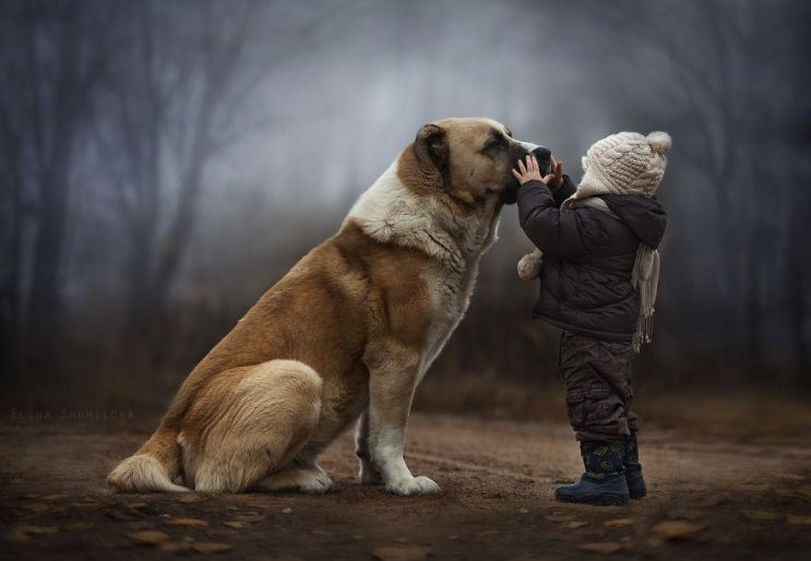  Russian Mother Takes Magical Pictures of Her Two Kids With Animals On Her Farm