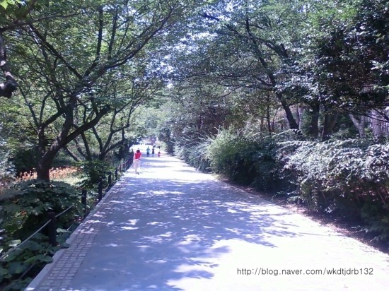 [울산 / 일산동] 울산가볼만한곳 대왕암( 대왕암 공원) / 일산해수욕장