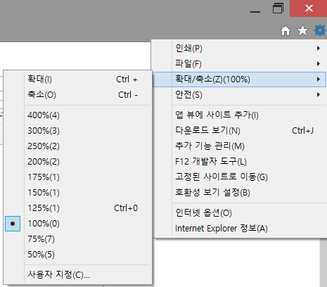  익스플로러 확대/축소 배율 변경하기