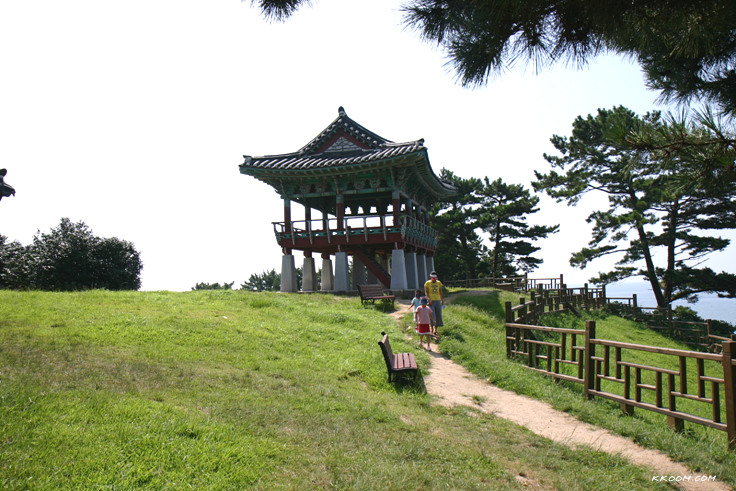 서천 여행 (동백나무숲, 춘장대해수욕장, 희리산자연휴양림)