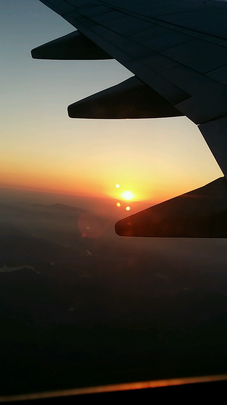  업무차 울산 가다