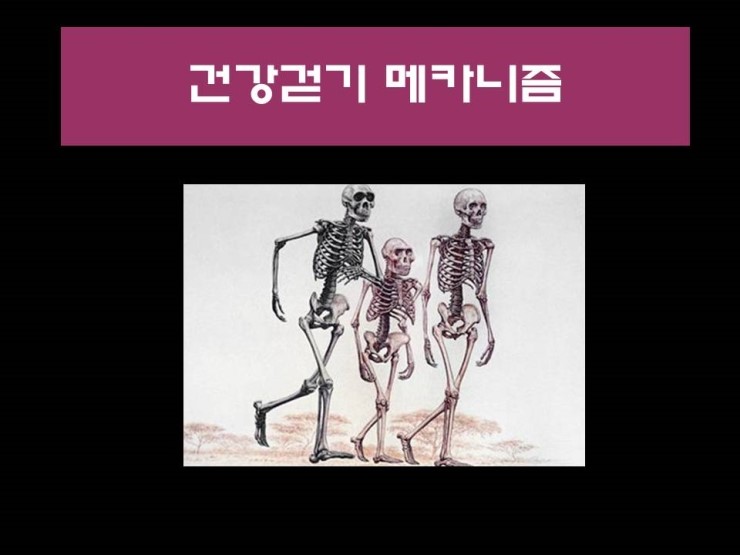  24hrs가 제시하는 건강정보_4.건강걷기의 방법과 부작용