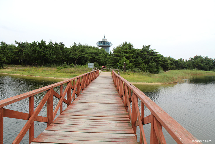 강원도 고성 여행 (송지호 습지, 삼포해수욕장, 통일전망대)