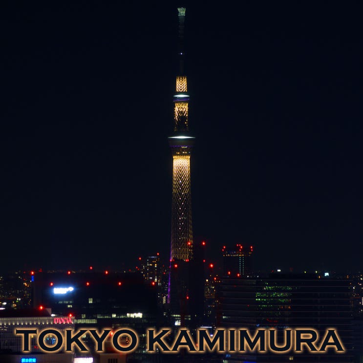 도쿄 스카이트리 모양의 거대텐동 타워동~ 나리히라바시 소바도코로 카미무라 : 랄랄라도쿄