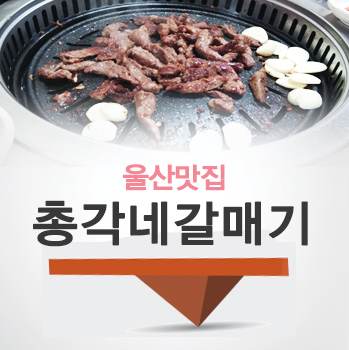 [울산맛집/목살골목]양념갈매기가 맛있는 총각네 갈매기!