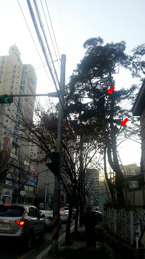 100일위젯도전!! 아침의 아저씨들 100일위젯도전!! 아침의 아저씨들