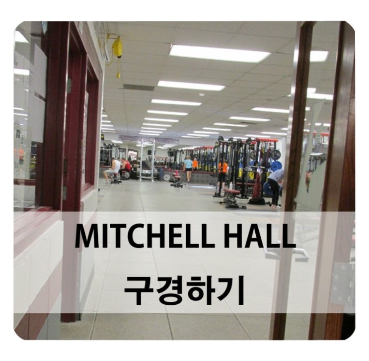  미국교환학생/ MITCHELL HALL 구경하기 