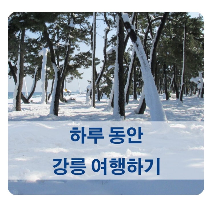  강릉에서 나만의 겨울왕국을 찾아라!
