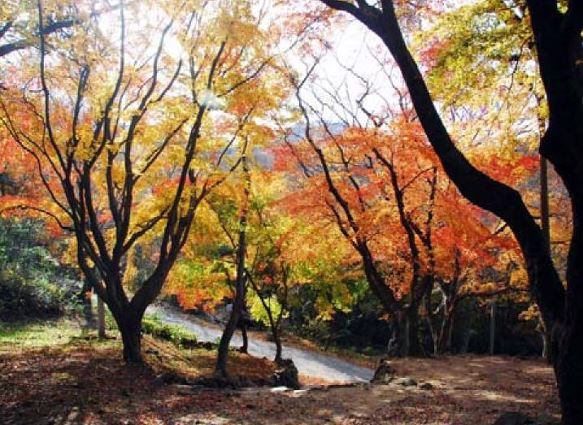 사진 찍기 좋은 가을풍경 문화재 30선 : 네이버 블로그