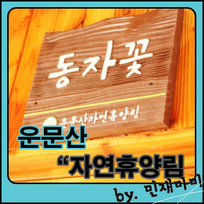 운문산자연휴양림 운문산자연휴양림