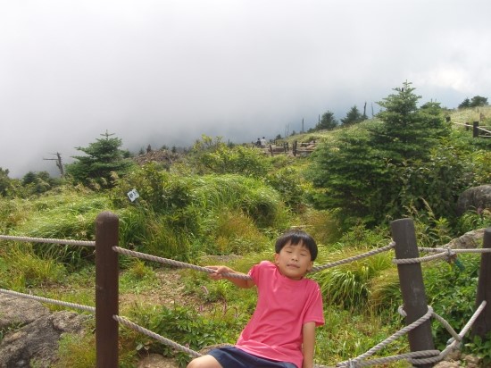  유명인 작명,개명..
