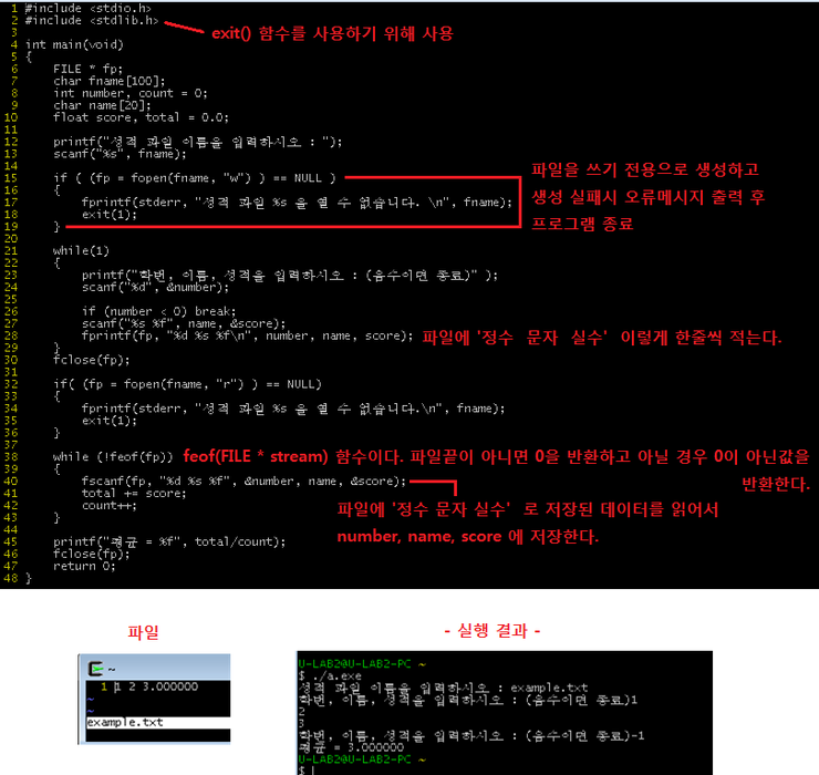  네트워크 기초 4주차(2) (파일입출력)