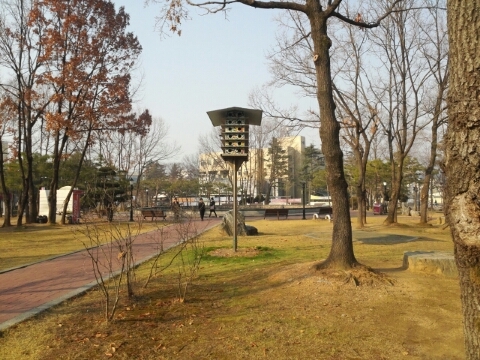  [전주여행] 전북대학교 캠퍼스! (신정문,구정문)