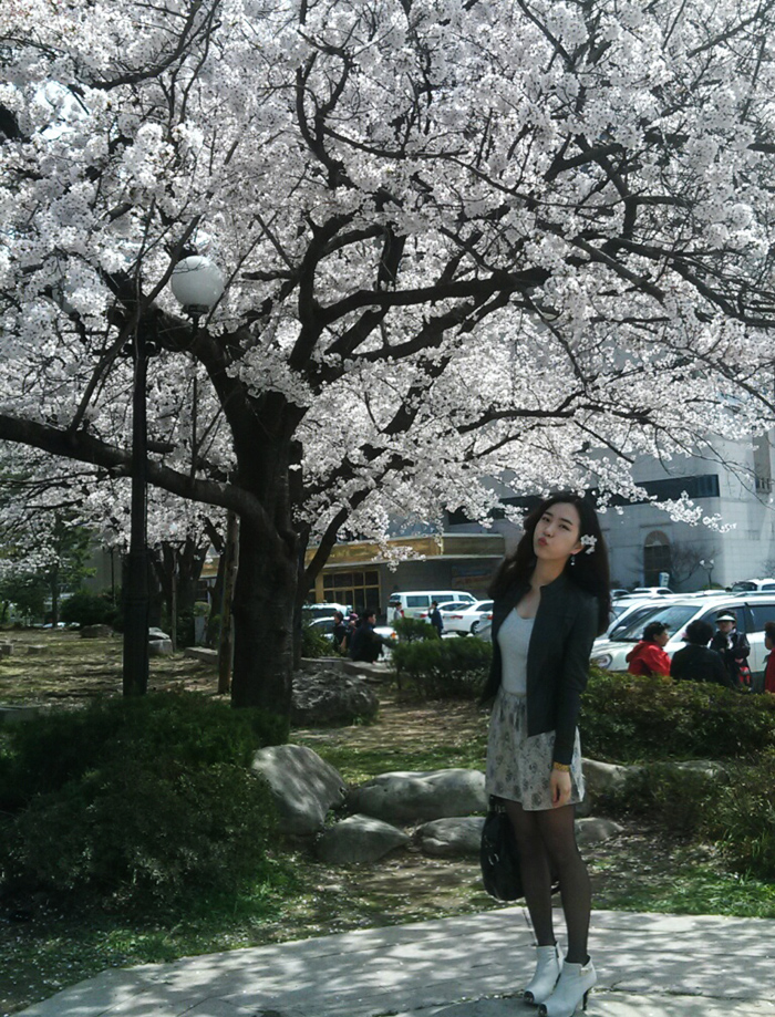  [광주벚꽃놀이/벚꽃구경] 광주 지산유원지 벚꽃놀이 이야기 ^.~