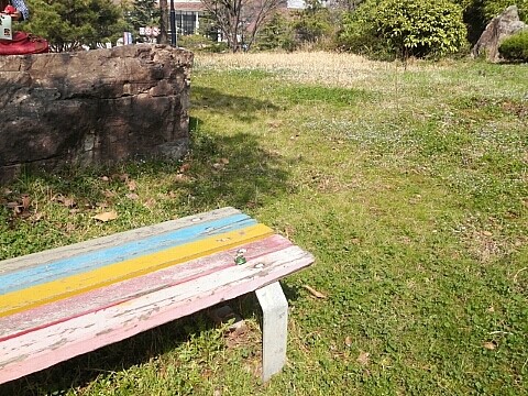  [전주여행] 전북대 꽃놀이~