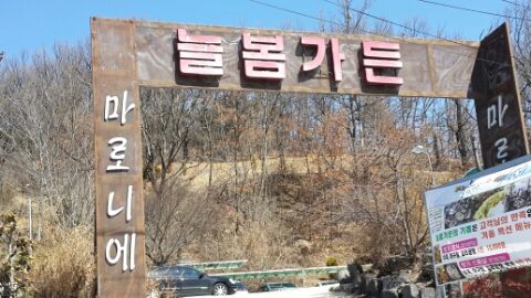   [ 함양맛집 / 늘봄가든 ] 오곡밥 먹으러 갑니다.