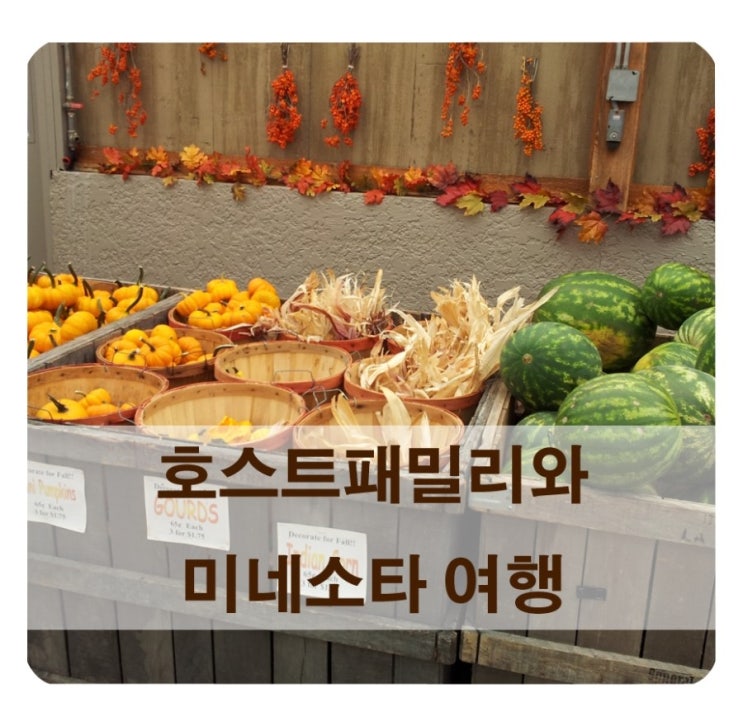  미국 교환학생/ 호스트패밀리와 미네소타 여행~