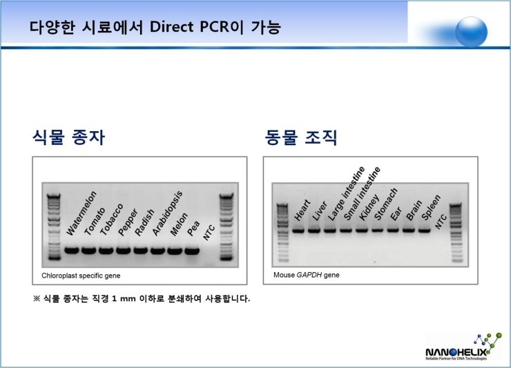 Direct PCR [3G]의 검증
