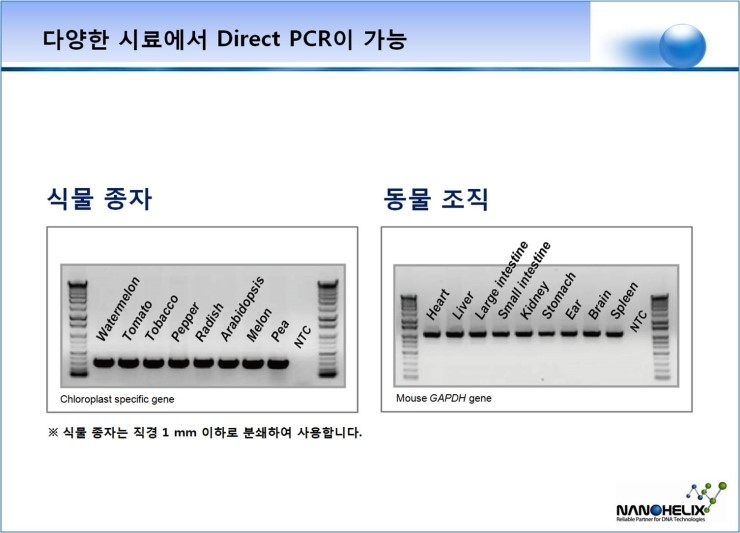  Direct PCR [3G]의 검증