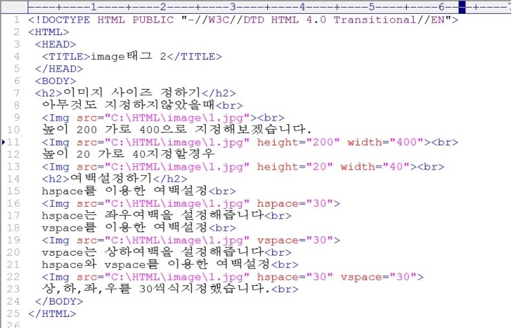 HTML - IMAGE 태그_2 (이미지 사이즈 설정 및 여백 기능 설정)