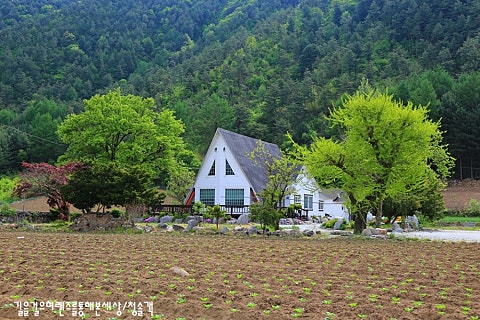 길목식당민박 이미지