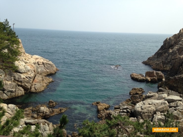 [양양여행] 3대가 함께 한 즐거운 가족여행 추천!! 수산항, 쏠비치, 하조대, 휴휴암, 남애항