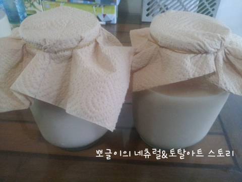  막걸리 식초만들기/식초효능