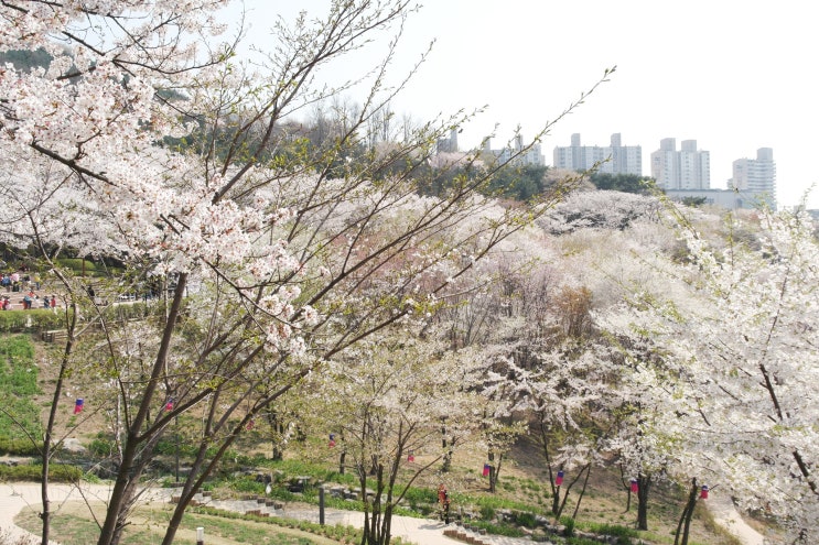  안산자락길