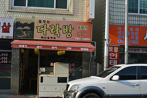 홍어회전문 이미지