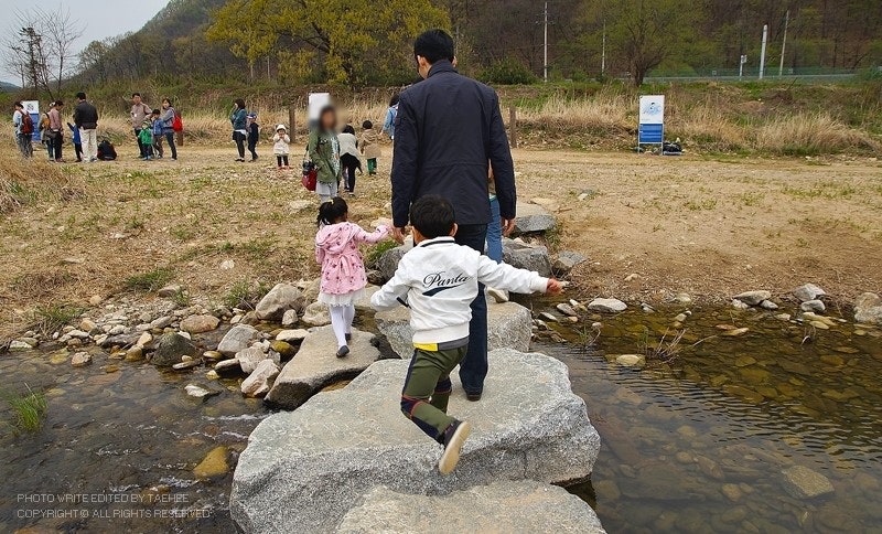 양평 딸기체험 수미마을 진정 최고 ; 어린이체험학습 가볼까