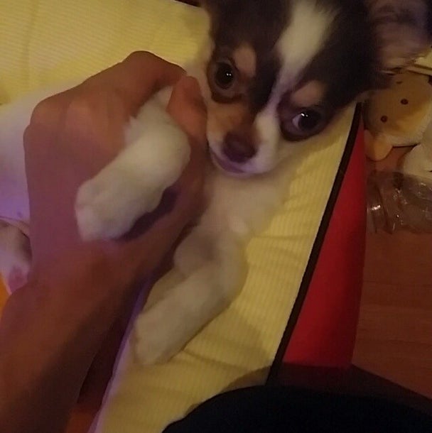 양요섭 양갱이 인스타그램 완죤 귀요미