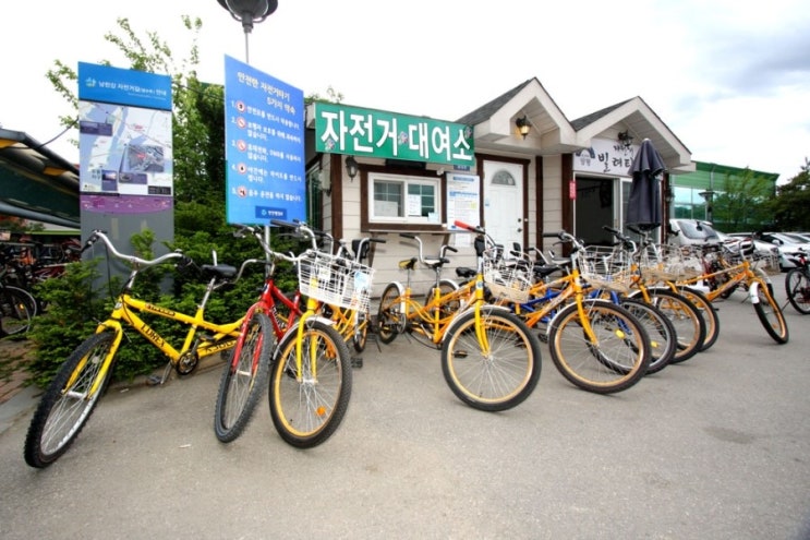 양수 역 자전거 대여