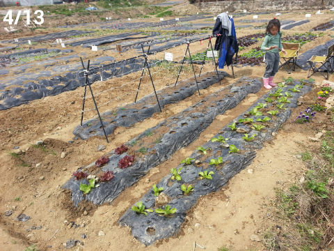  상반기 텃밭의 변화