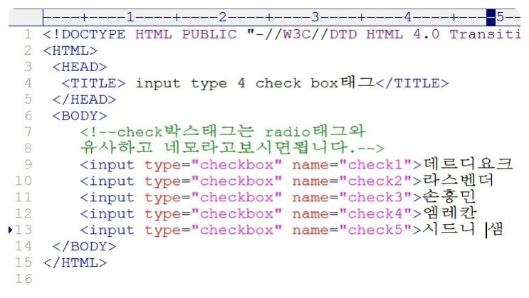 HTML - input type 4번 checkbox를 만들어보자