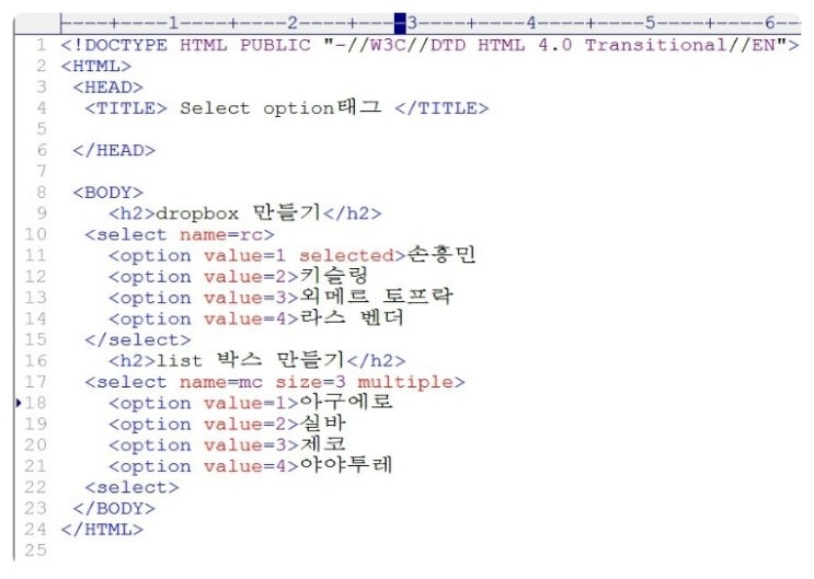  HTML - Select와 option을 이용한 dropbox,listbox만들기