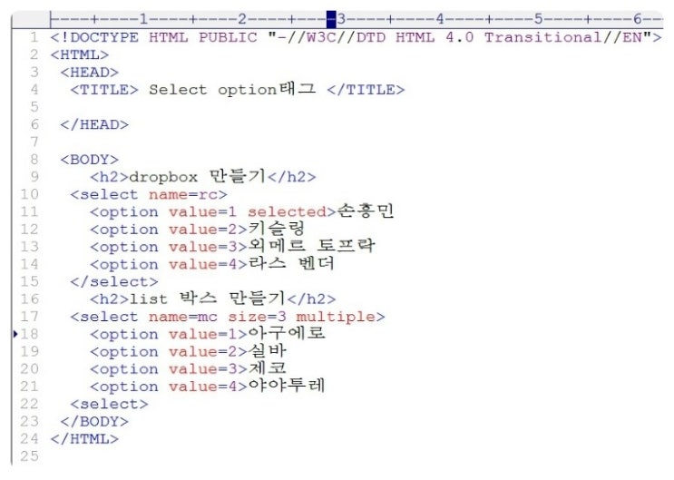 HTML - Select와 option을 이용한 dropbox,listbox만들기