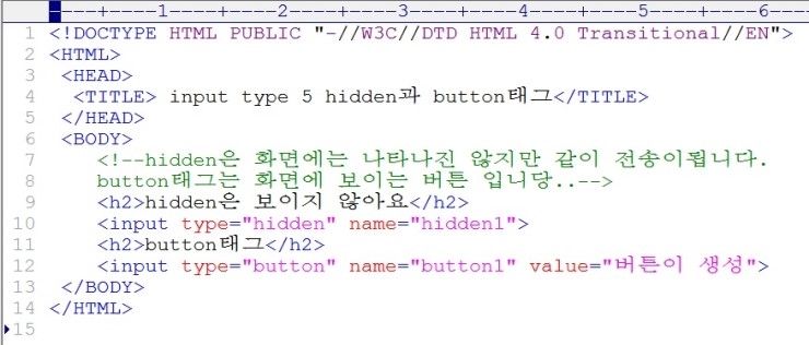 HTML - input type 5번 hidden 태그와 button태그