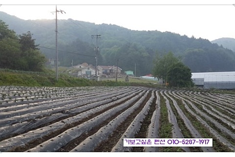 노고지리팬션 이미지