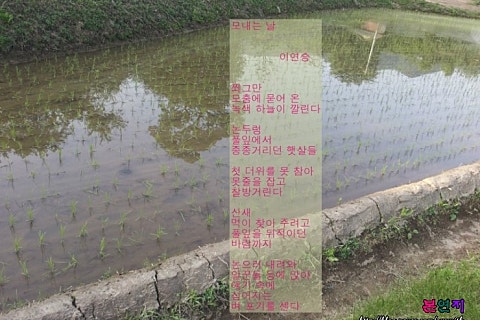모내는날 이미지
