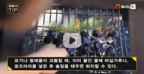 생활의 Tip #1 촛불,호일... 생활의 Tip #1 촛불,호일...