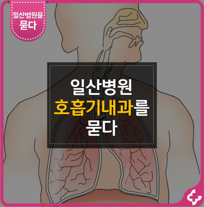 [일산병원을 묻다] 일산병원 호흡기 내과를 묻다