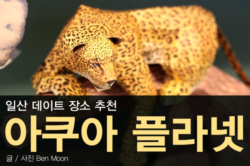 일산데이트코스 한화 아쿠아플라넷 일산