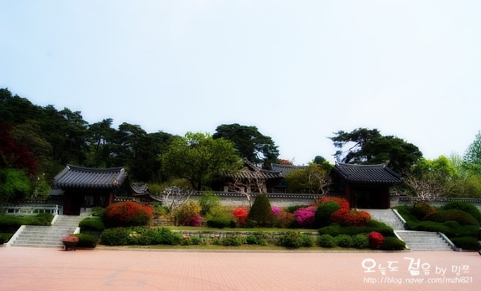  [강릉여행/당일치기] 신사임당, 율곡이이의 생가 "오죽헌" 