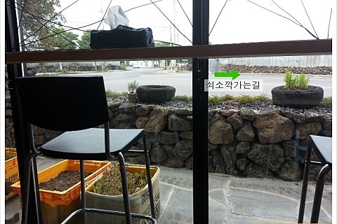 국수바라기 이미지