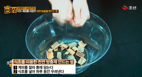 만물상계피식초천연살충제만드는법 : 천연방충제만들기 : 네이버 블로그 만물상계피식초천연살충제만드는법 : 천연방충제만들기 : 네이버 블로그